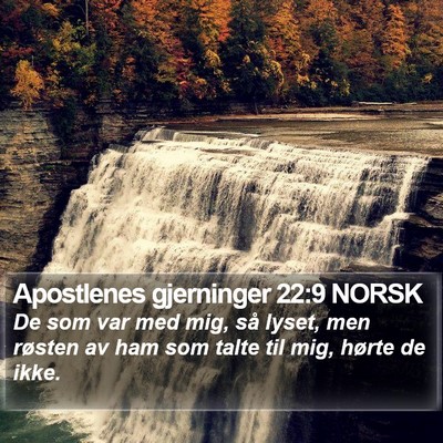 Apostlenes gjerninger 22:9 NORSK Bible Verse Image