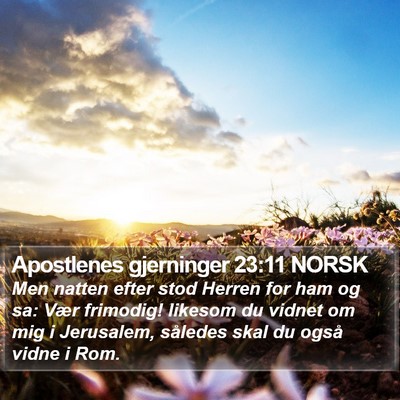 Apostlenes gjerninger 23:11 NORSK Bible Verse Image