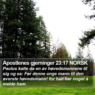 Apostlenes gjerninger 23:17 NORSK Bible Verse Image