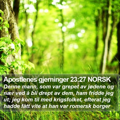 Apostlenes gjerninger 23:27 NORSK Bible Verse Image