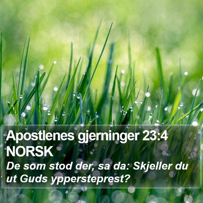 Apostlenes gjerninger 23:4 NORSK Bible Verse Image