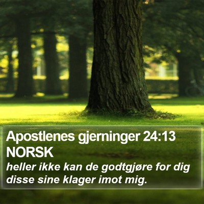Apostlenes gjerninger 24:13 NORSK Bible Verse Image