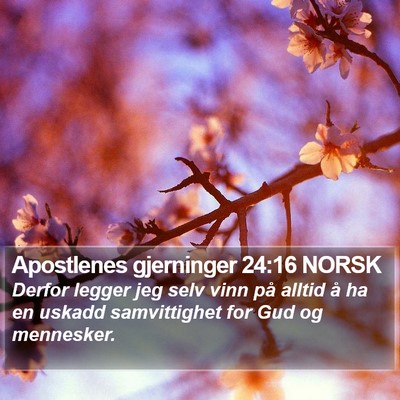Apostlenes gjerninger 24:16 NORSK Bible Verse Image