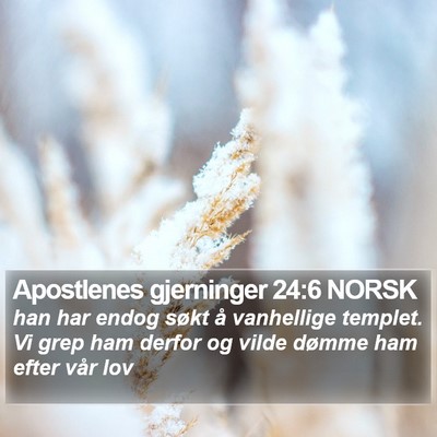 Apostlenes gjerninger 24:6 NORSK Bible Verse Image
