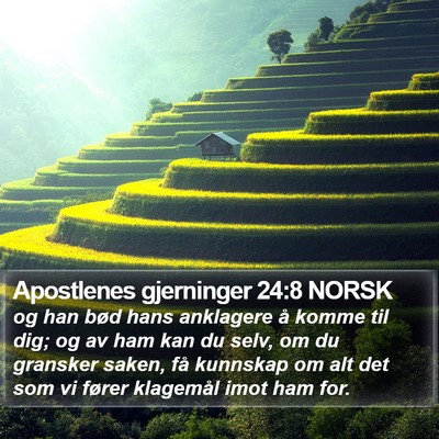 Apostlenes gjerninger 24:8 NORSK Bible Verse Image