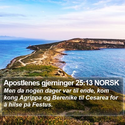Apostlenes gjerninger 25:13 NORSK Bible Verse Image