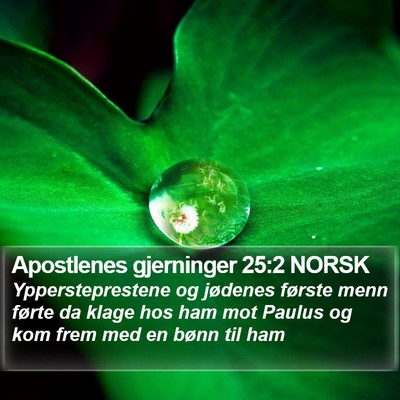 Apostlenes gjerninger 25:2 NORSK Bible Verse Image