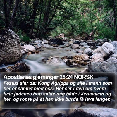 Apostlenes gjerninger 25:24 NORSK Bible Verse Image