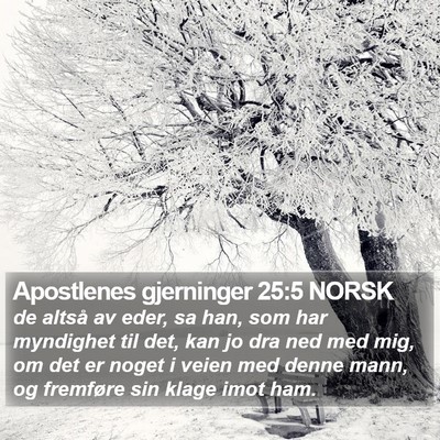 Apostlenes gjerninger 25:5 NORSK Bible Verse Image
