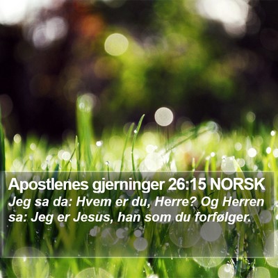 Apostlenes gjerninger 26:15 NORSK Bible Verse Image