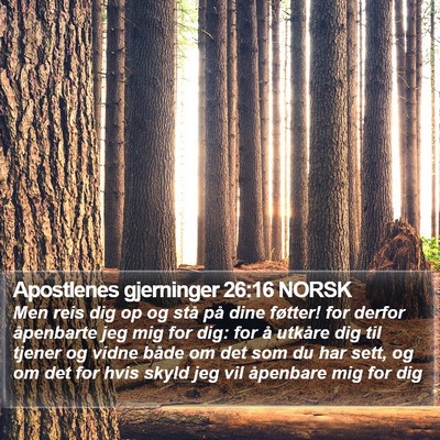 Apostlenes gjerninger 26:16 NORSK Bible Verse Image