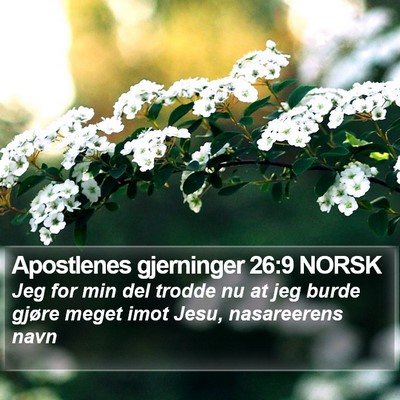 Apostlenes gjerninger 26:9 NORSK Bible Verse Image