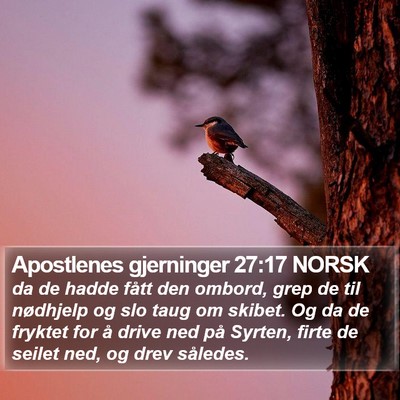 Apostlenes gjerninger 27:17 NORSK Bible Verse Image