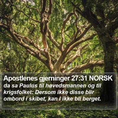 Apostlenes gjerninger 27:31 NORSK Bible Verse Image