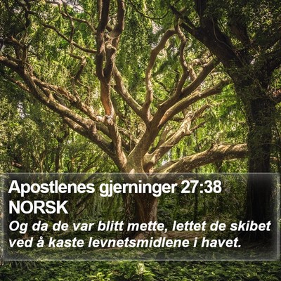 Apostlenes gjerninger 27:38 NORSK Bible Verse Image