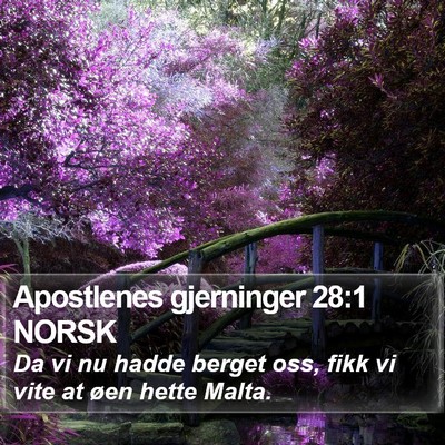 Apostlenes gjerninger 28:1 NORSK Bible Verse Image