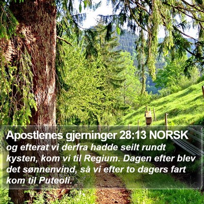 Apostlenes gjerninger 28:13 NORSK Bible Verse Image