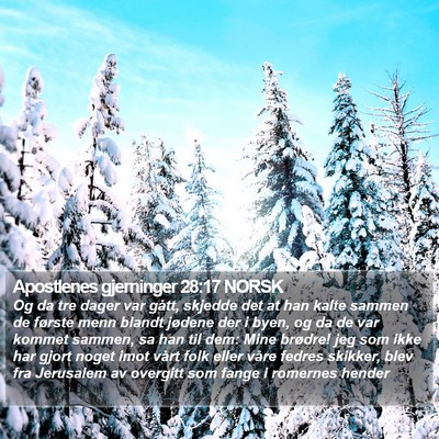 Apostlenes gjerninger 28:17 NORSK Bible Verse Image
