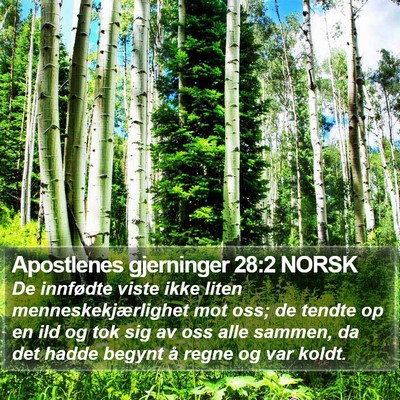 Apostlenes gjerninger 28:2 NORSK Bible Verse Image
