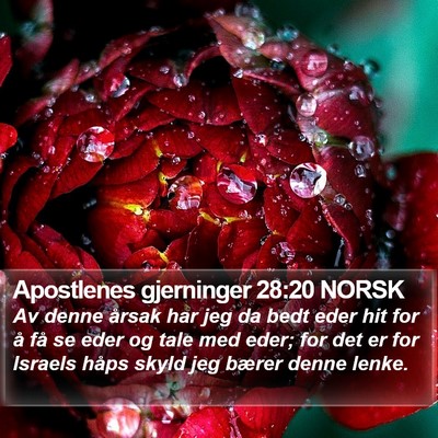 Apostlenes gjerninger 28:20 NORSK Bible Verse Image