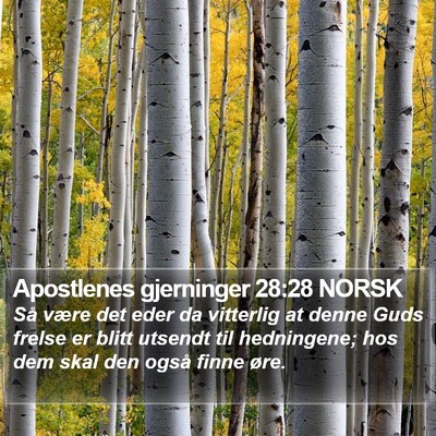 Apostlenes gjerninger 28:28 NORSK Bible Verse Image