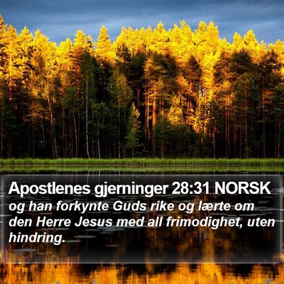 Apostlenes gjerninger 28:31 NORSK Bible Verse Image