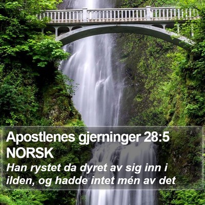 Apostlenes gjerninger 28:5 NORSK Bible Verse Image