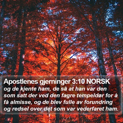 Apostlenes gjerninger 3:10 NORSK Bible Verse Image