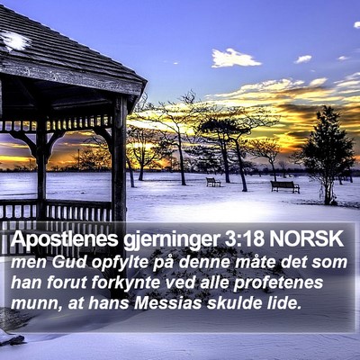 Apostlenes gjerninger 3:18 NORSK Bible Verse Image