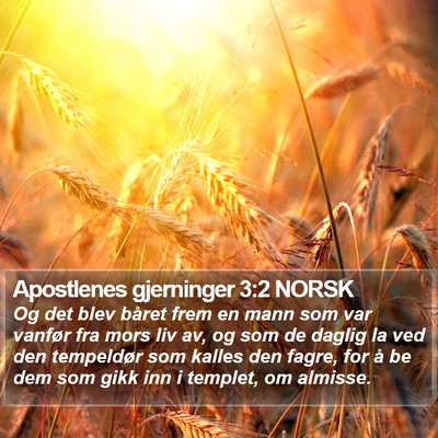 Apostlenes gjerninger 3:2 NORSK Bible Verse Image
