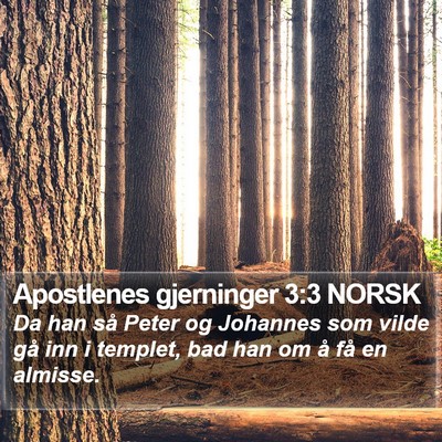 Apostlenes gjerninger 3:3 NORSK Bible Verse Image
