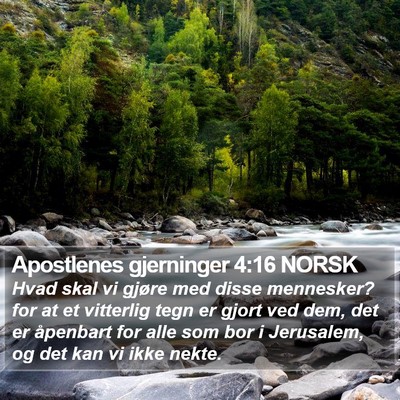 Apostlenes gjerninger 4:16 NORSK Bible Verse Image