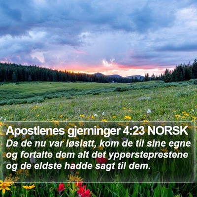 Apostlenes gjerninger 4:23 NORSK Bible Verse Image