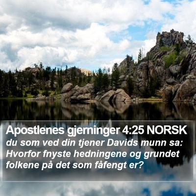 Apostlenes gjerninger 4:25 NORSK Bible Verse Image
