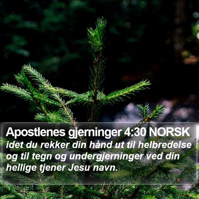 Apostlenes gjerninger 4:30 NORSK Bible Verse Image