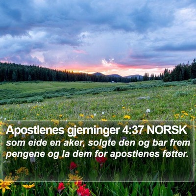 Apostlenes gjerninger 4:37 NORSK Bible Verse Image