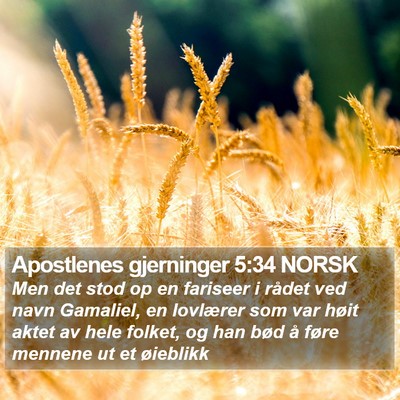 Apostlenes gjerninger 5:34 NORSK Bible Verse Image