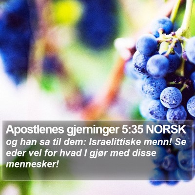 Apostlenes gjerninger 5:35 NORSK Bible Verse Image