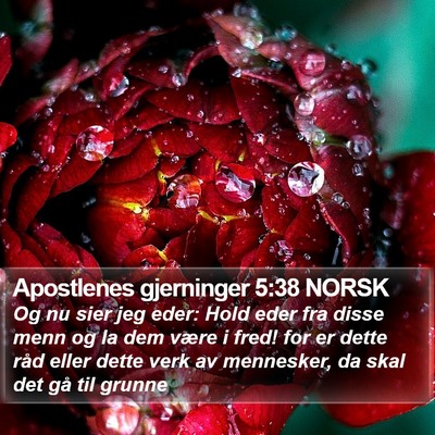 Apostlenes gjerninger 5:38 NORSK Bible Verse Image