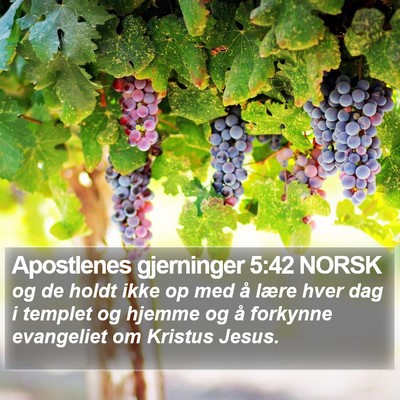 Apostlenes gjerninger 5:42 NORSK Bible Verse Image