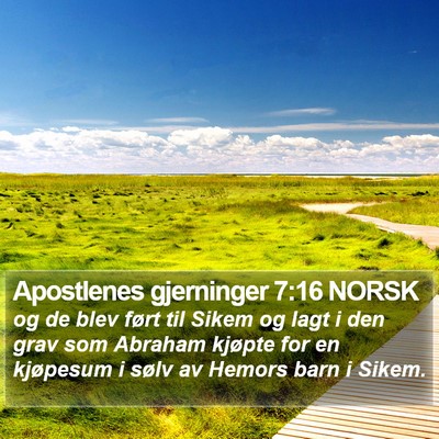 Apostlenes gjerninger 7:16 NORSK Bible Verse Image