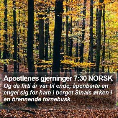 Apostlenes gjerninger 7:30 NORSK Bible Verse Image