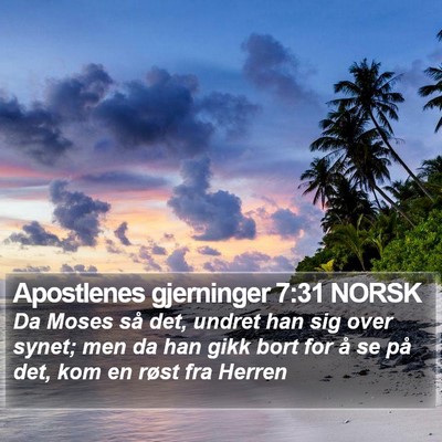 Apostlenes gjerninger 7:31 NORSK Bible Verse Image