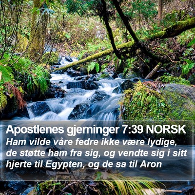 Apostlenes gjerninger 7:39 NORSK Bible Verse Image