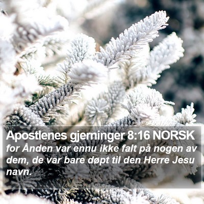 Apostlenes gjerninger 8:16 NORSK Bible Verse Image