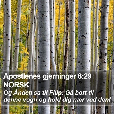 Apostlenes gjerninger 8:29 NORSK Bible Verse Image