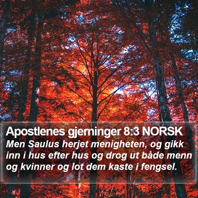 Apostlenes gjerninger 8:3 NORSK Bible Verse Image