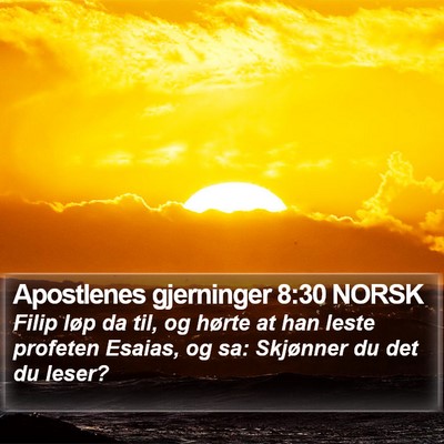 Apostlenes gjerninger 8:30 NORSK Bible Verse Image