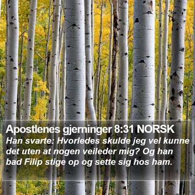 Apostlenes gjerninger 8:31 NORSK Bible Verse Image