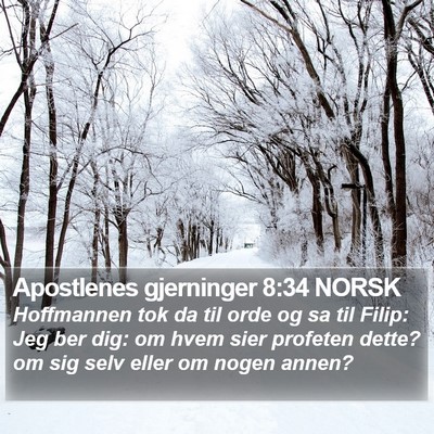 Apostlenes gjerninger 8:34 NORSK Bible Verse Image